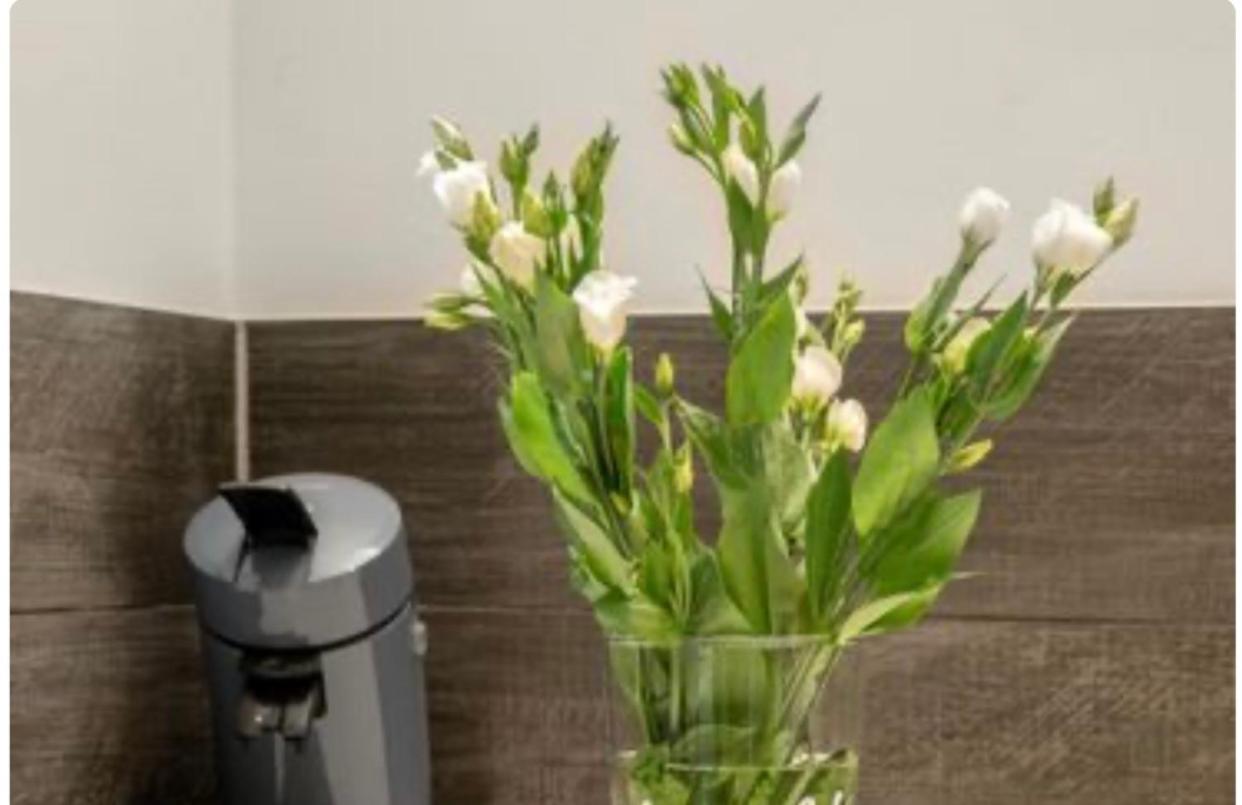 Be My Guest In Mannheim Apartman Kültér fotó